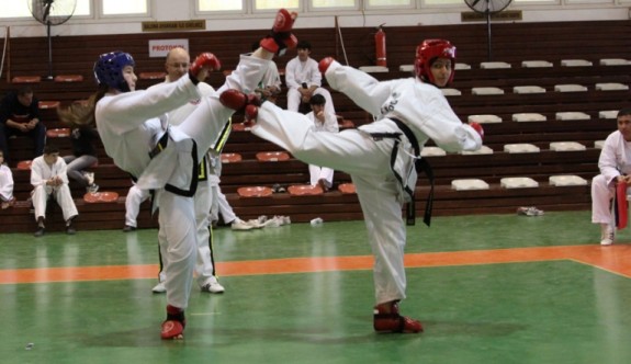 Tekmeler taekwondonun kurucusu için atıldı