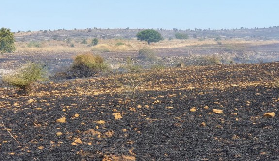 Korkutan yangın