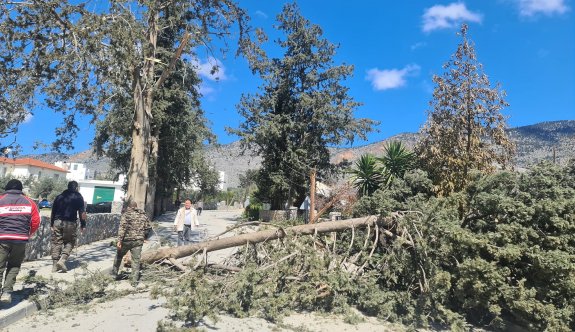 Fırtına, ağaç ve direkleri devirdi