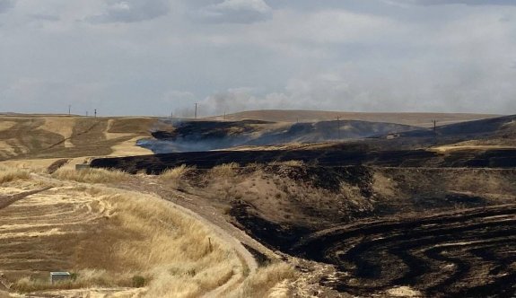 Diyarbakır'da arazi kavgasında katliam: 9 ölü