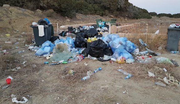 “Ne kekik kokusu ne de ormanlık alan kaldı”