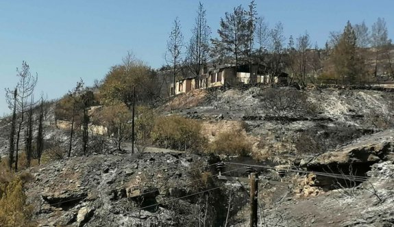 Limasol'daki yangın kontrol altında ancak yeniden alevlenme tehlikesi var