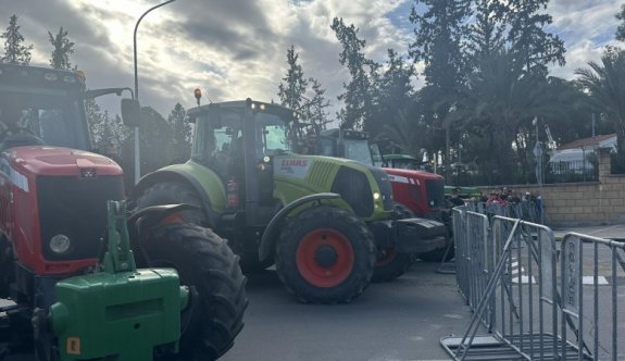 Rum çiftçiler, Başkanlık Sarayı önünde eylemde