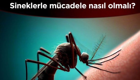 Tabipler Birliği, sineklerle mücadelede ilaç kullanımı konusunda uyardı