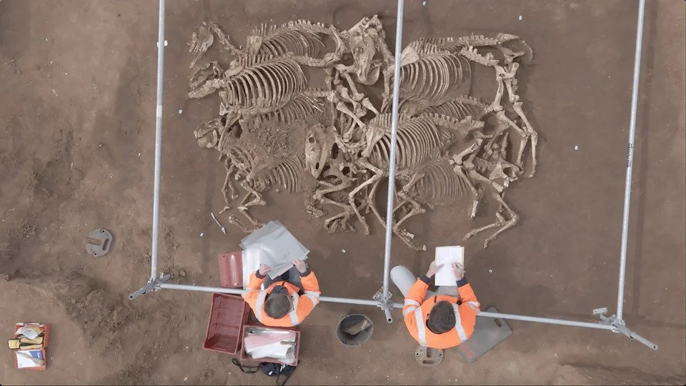 Fransa'da olağanüstü keşif: 2 bin yıllık kalıntılar bulundu