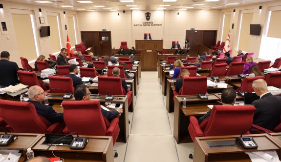 Gümrük ve Rüsumat Dairesi’ne ilişkin değişiklik yasa tasarısı Meclis'ten geçti