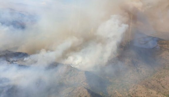 Güney Lefkoşa köylerinde büyük orman yangını