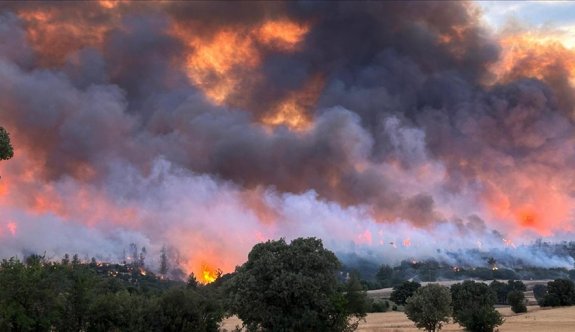 Türkiye’de Haziranda orman yangınları geçen yıla göre yaklaşık 5 kat arttı