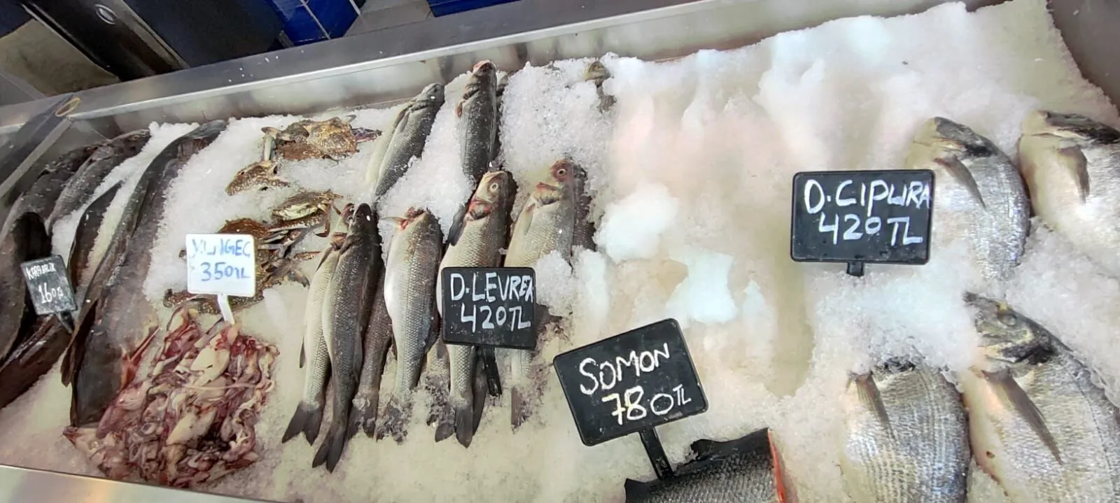 Balık fiyatları fırladı