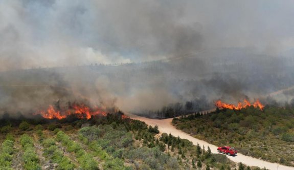 Çeşme'de orman yangını: 3 ölü