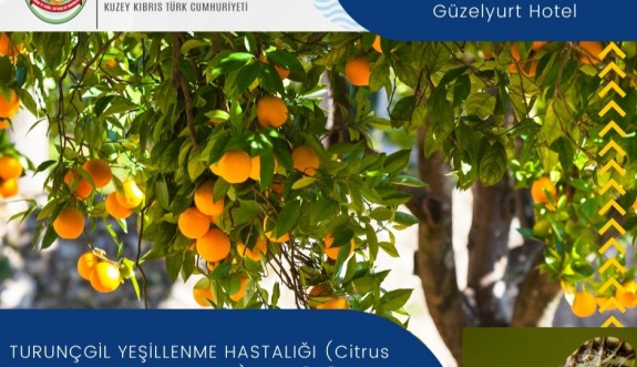 Güzelyurt'ta yeşillenme hastalığıyla ilgili bilgilendirme toplantısı düzenleniyor