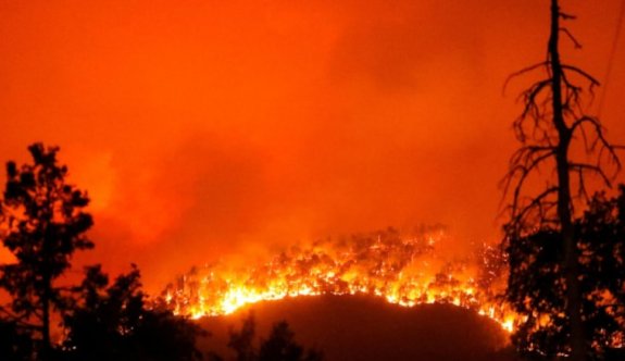 Aşiret kavgası orman yangını çıkardı