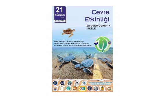 İskele sahilinde bugün caretta carettalar denize bırakılıyor