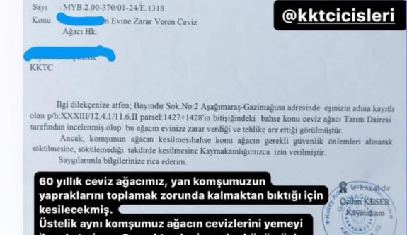 Komşunun bahçesine yaprak döktüğü için ağaç mı kesilir?