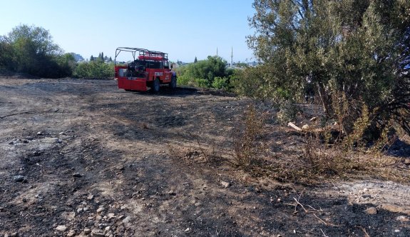 Üç buçuk dönümlük arazi kül oldu