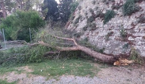 Yusuf Kaptan Sahası tehlike altında