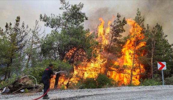 Ormanlarda yüksek yangın riski sürüyor