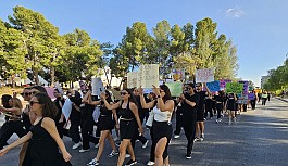 Öğrenciler kadına şiddete karşı yürüdü